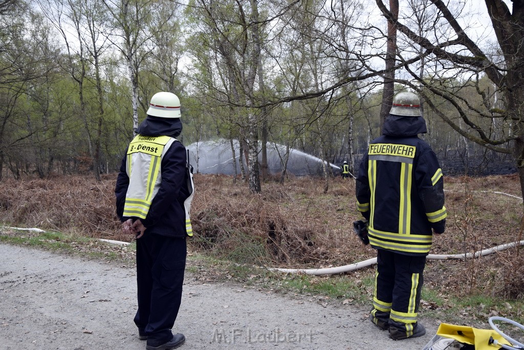 Waldbrand Wahner Heide Troisdorf Eisenweg P108.JPG - Miklos Laubert